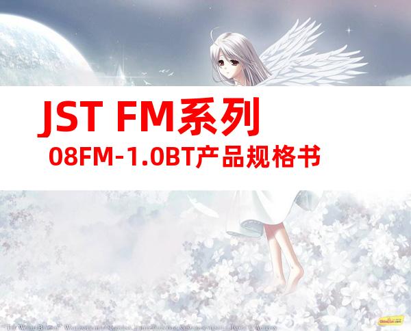 JST FM系列 08FM-1.0BT产品规格书